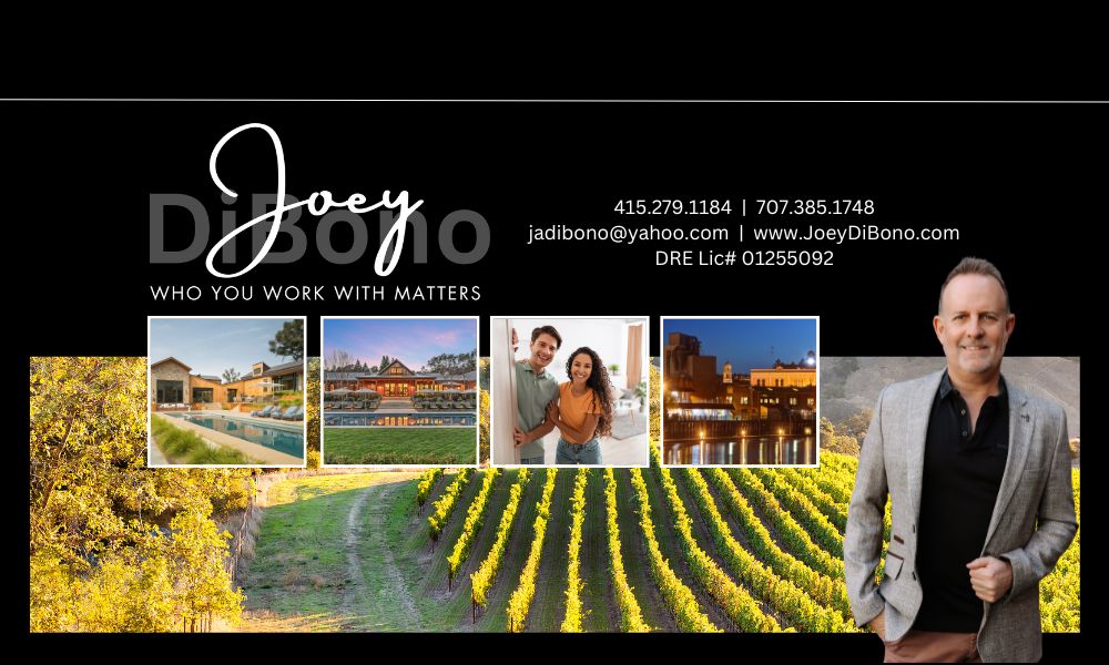 Joey DiBono Collage